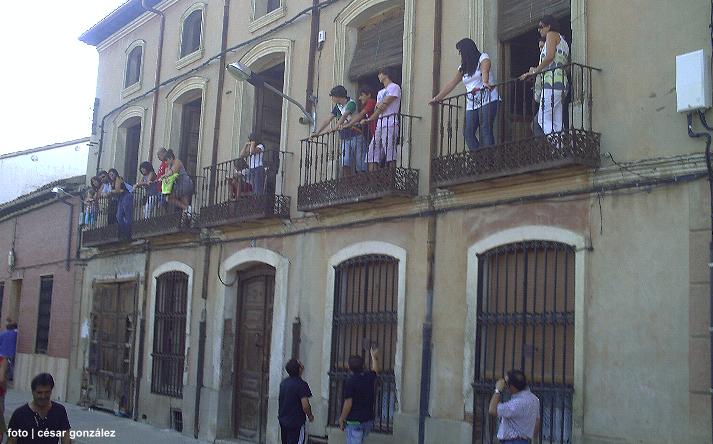 foto de los novillos